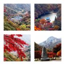 [제2,007차] 11월 5일,전북 정읍시 내장산(763m),백암산 단풍산행 안내 이미지
