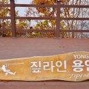 짚라인 용인 네이버블로그