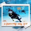 초보자도 가능한 공예마스터 | 스쿠버다이빙 협회 종류부터! 초보자도 가능한 실내 다이빙 체험 후기!