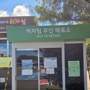 비자림 미담 | 제주도 비자림