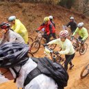 쌍용대로 이미지