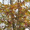 광덕1로10 이미지