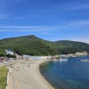 영도