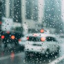 A4 행정사사무소 이미지