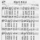 날마다새로운하늘 Daum카페