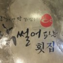 썰어파는횟집 이미지