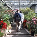 (주)제주 유리의 성 | 제주도렌트카 타고 떠나는 서쪽 드라이브 추천 루트 &amp; 여행 정보 ☀️🚗