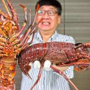 다베루