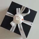 995 | 2026샤넬 신상 벨트 후기 / 샤넬 AAB995 벨트 / 샤넬 CC로고 벨트 내돈내산 후기