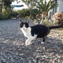 새롬민박 이미지