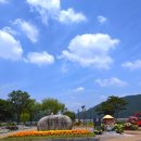 송해공원 제1주차장 | 대구 송해공원 수국 명소 주차 분수시간 산책코스 후기
