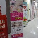 라인샵르페