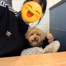 삼대국수회관협재점