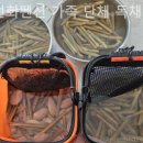 수선화펜션가족단체독채갯벌체험 이미지