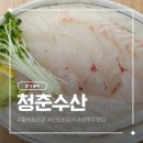 신용무들SK셀프주유소 | 시원한 생맥주 파는 경기광주 횟집 청춘수산 모듬회 한상 후기