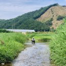 남일우체국 이미지