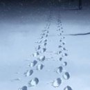 긍휼의집 이미지