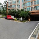 늘을1로75 이미지