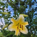 월현농장 이미지