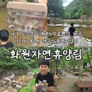대구 도심속 무료평상계곡 아이와 올챙이 잡기좋은 화원자연휴양림