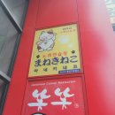 마니노래연습장 이미지