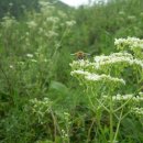 솔미농장 이미지