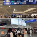 메트로짐 | 영국행 중국동방항공 탑승/12시간 경유 반나절 상하이 여행 후기 (심카드, 짐보관, 메트로 타는 법)