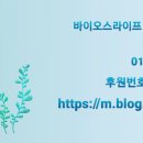 유니시티김숙자