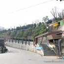 대림대학교(학생식당) 이미지