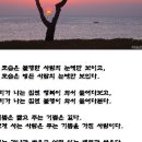 Re:읽어도 읽어도 좋은글----MD솔체 이미지