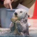 바다향굴&복어 | 전국 5대 칼국수로 알려진 공주 맛집 | 유가네 해물칼국수 솔직후기