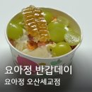 세교고등학교 | 요아정 반갑데이 매장 오산 세교점 , 요거트아이스크림의정석 후기