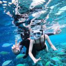 사우우리들약국 | 원클릭 발리카삭 호핑투어 조인투어 두번째 내돈내산 후기 : 해파리·물벼룩 쏘였을 때 연고 추천