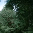 송당 온도 이미지