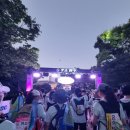 강변대로 | 한여름밤의 걷기대회, 부산 나이트워크16k 후기