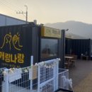 개랑나랑 네이버블로그