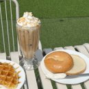 더블링독 이미지