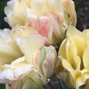 씨유신사미래점 | [06-4] 유화 수업, 뮤지컬, 주류 박람회까지 💛 6월 4주차 - 7월 1주차