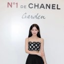 보나쿠 이미지