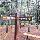 망정 영천뉴스24