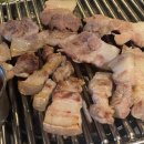 특수고기 이미지