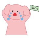뚜야김용숙속눈썹