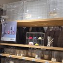 오렌지필 | 제주 무인양품 쇼핑 후기｜오렌지 필 카카오 트러플부터 김치라면까지