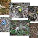 동수목욕탕 이미지