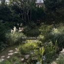 7185 | 노마 스튜디오 하프 가격 예약 후기 대구 웨딩 촬영 노마하우스