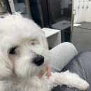 배화미용실