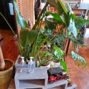 남자의부엌 | 재방문 한 남자의 부엌,파스타 맛집 대구간송미술관근처 맛집,차돌박이리조또,상하이파스타,피자 후기