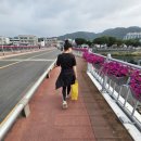 전북특별자치도교육청무주도서관 이미지