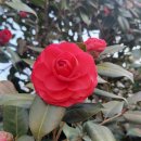 둘레길순대국 | 장군봉과 둘레길 산행후기