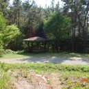 철성초등학교 이미지